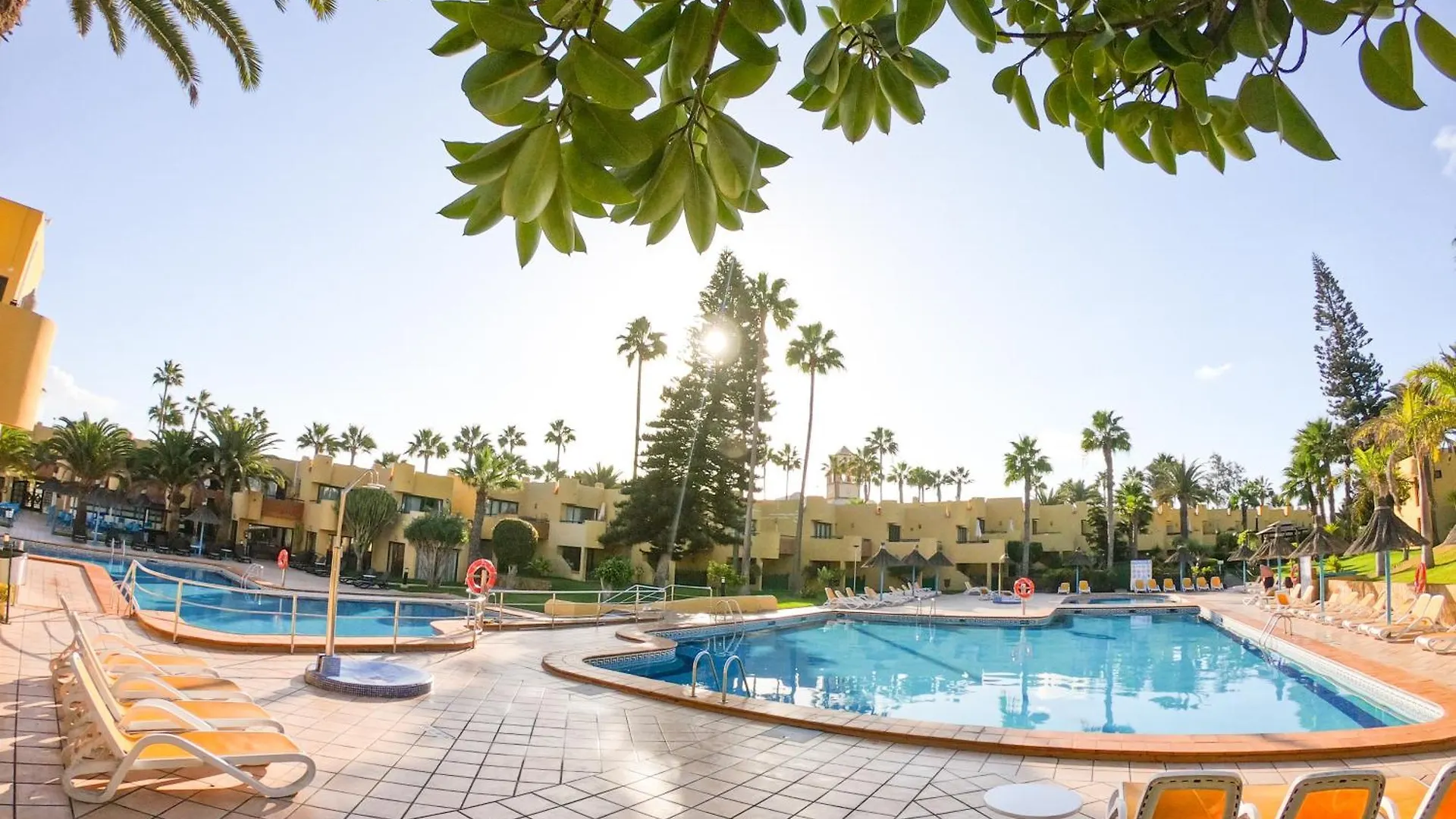 Drago 2 Atlantic Garden Apartment Corralejo Spain